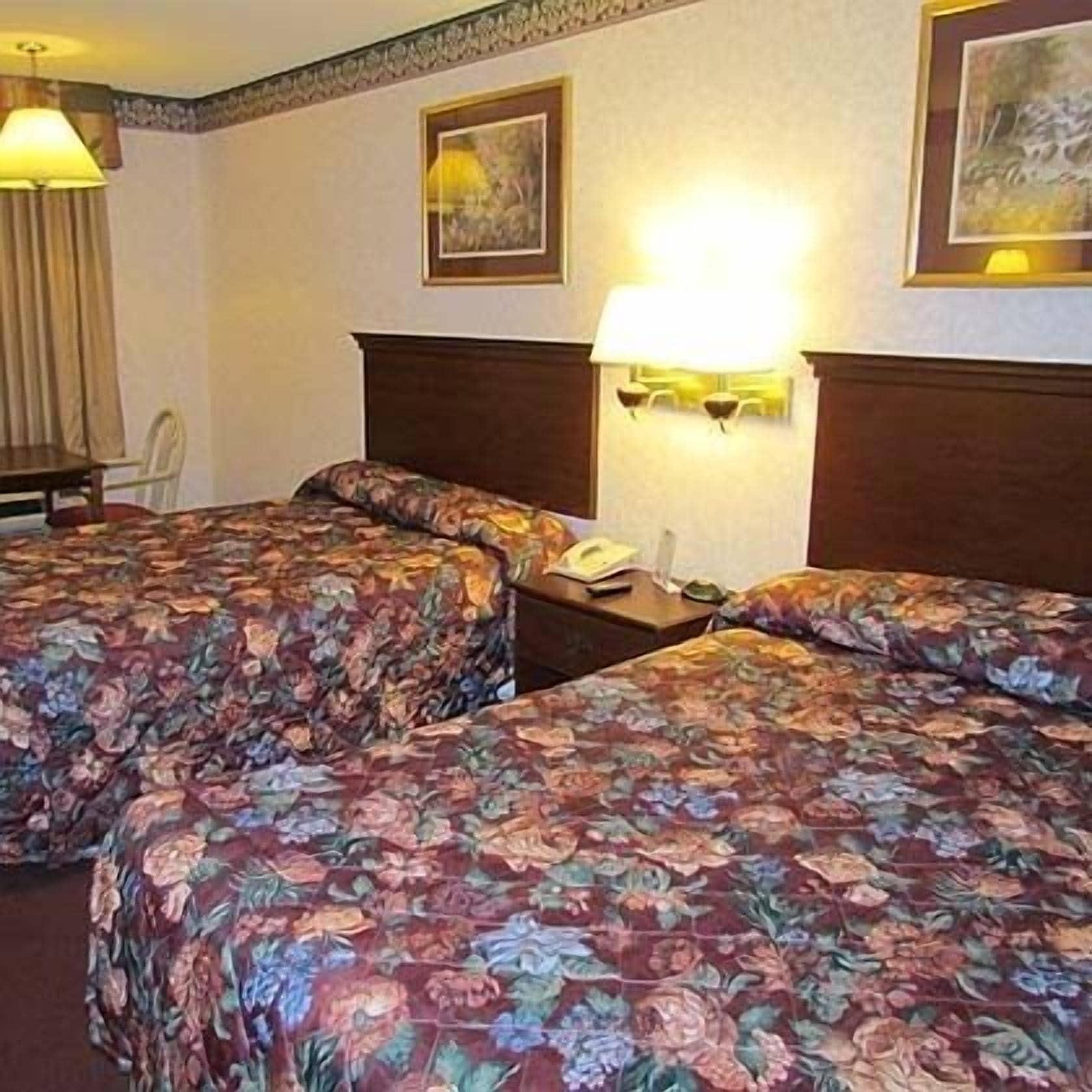 Eagle Inn Sumter Chambre photo